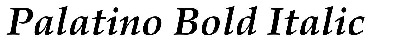 Palatino Bold Italic